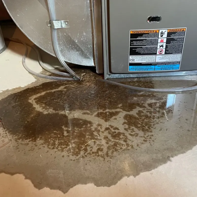 Pipe Burst and Leak Restoration in Stonewood, WV