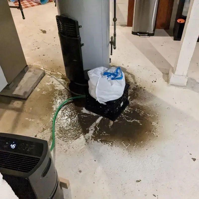 Sewage Backup Cleanup Service in Stonewood, WV
